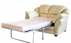 Двухместный  диван-кровать Сенатор (натуральная кожа)