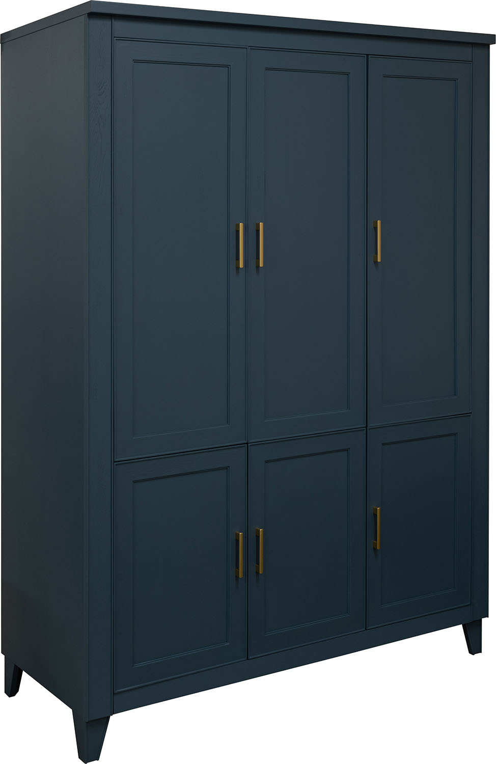 Шкаф для одежды 3д «Амадей» П6.635.1.06