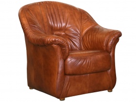 Кресло Омега (комбинированное)