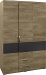 Шкаф для одежды «Амаранти» П571.01
