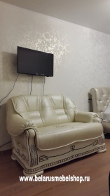 Двухместный диван "Консул 2020/2020(-С)" (натуральная кожа)