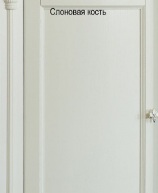 Шкаф для одежды «Валенсия Д4» П568.11